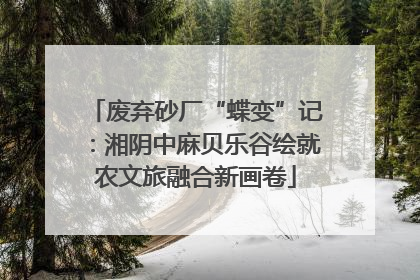 废弃砂厂“蝶变”记：湘阴中麻贝乐谷绘就农文旅融合新画卷